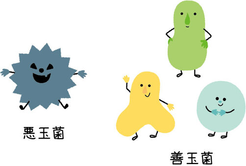 乳酸菌の真実　その3