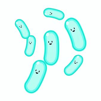 乳酸菌の真実　その2