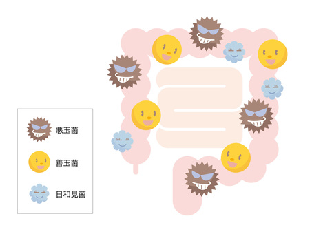 乳酸菌の真実　その1